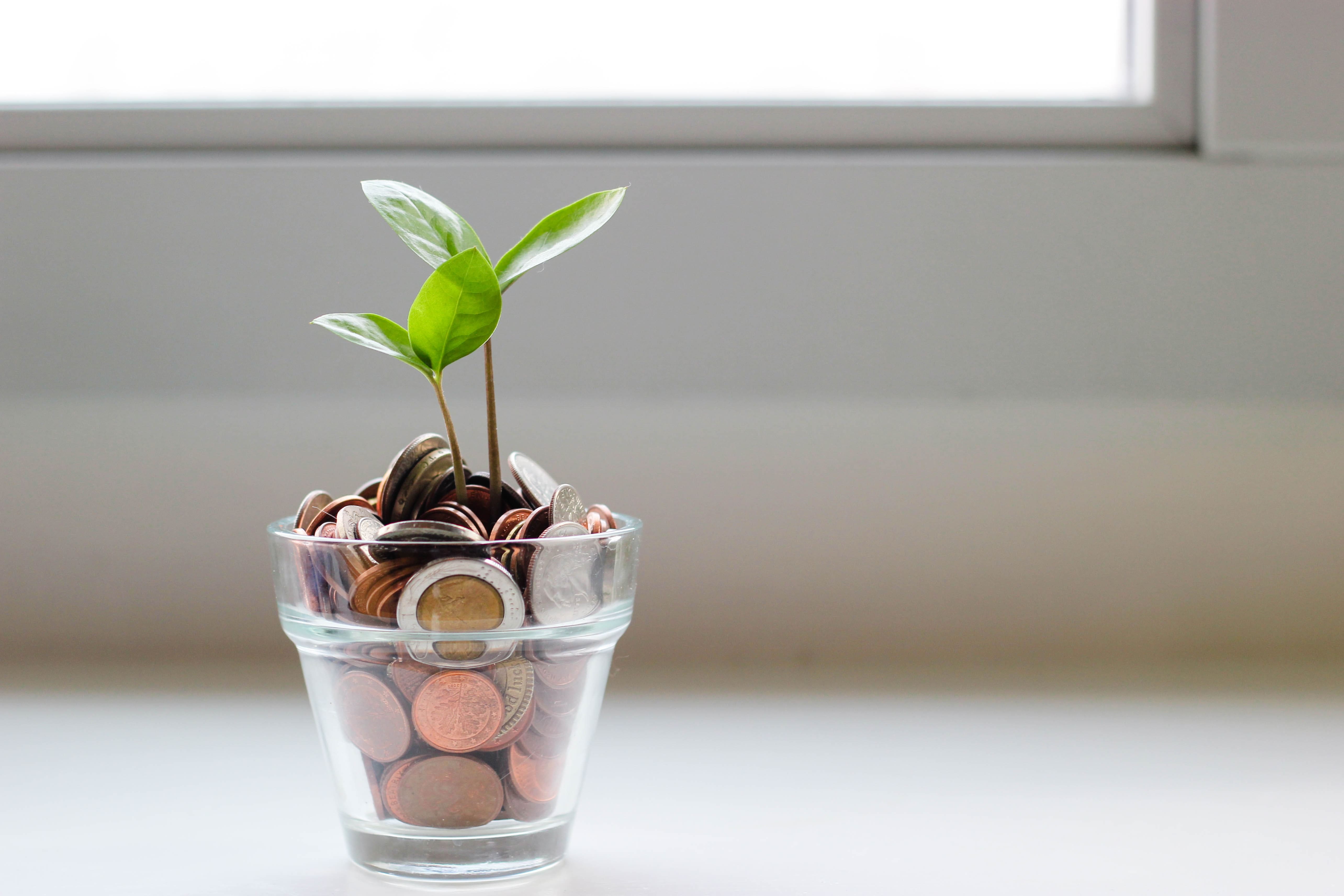 La finanza si fa verde e sostenibile: green bond e green loan